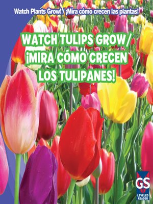 cover image of Watch Tulips Grow / ¡Mira cómo crecen los tulipanes!